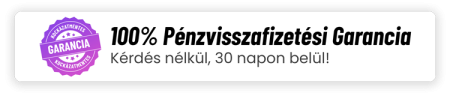 penzvissza